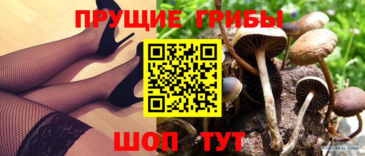 Рузаевка  Галлюциногенные грибы Cubensis  что такое   Вход с VPN 