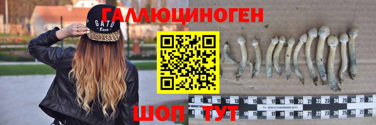 Псилоцибиновые грибы мухоморы Рузаевка